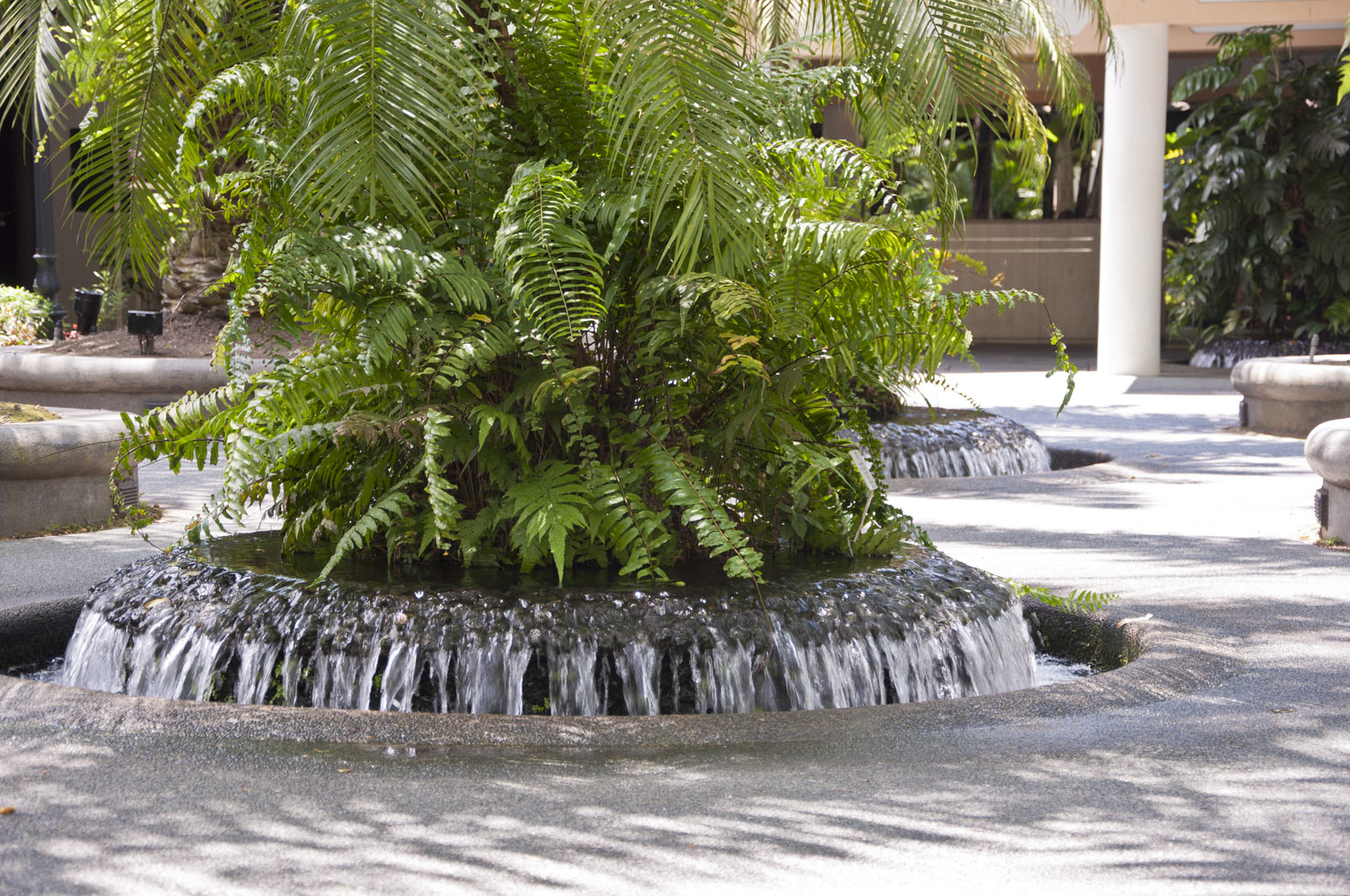 Клумба-фонтан в ботаническом саду Сингапура
