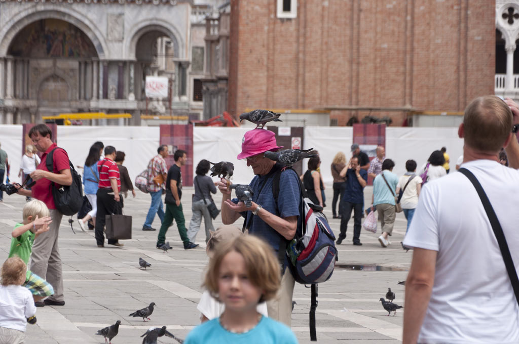 Мерзкие голуби на площади Сан-Марко